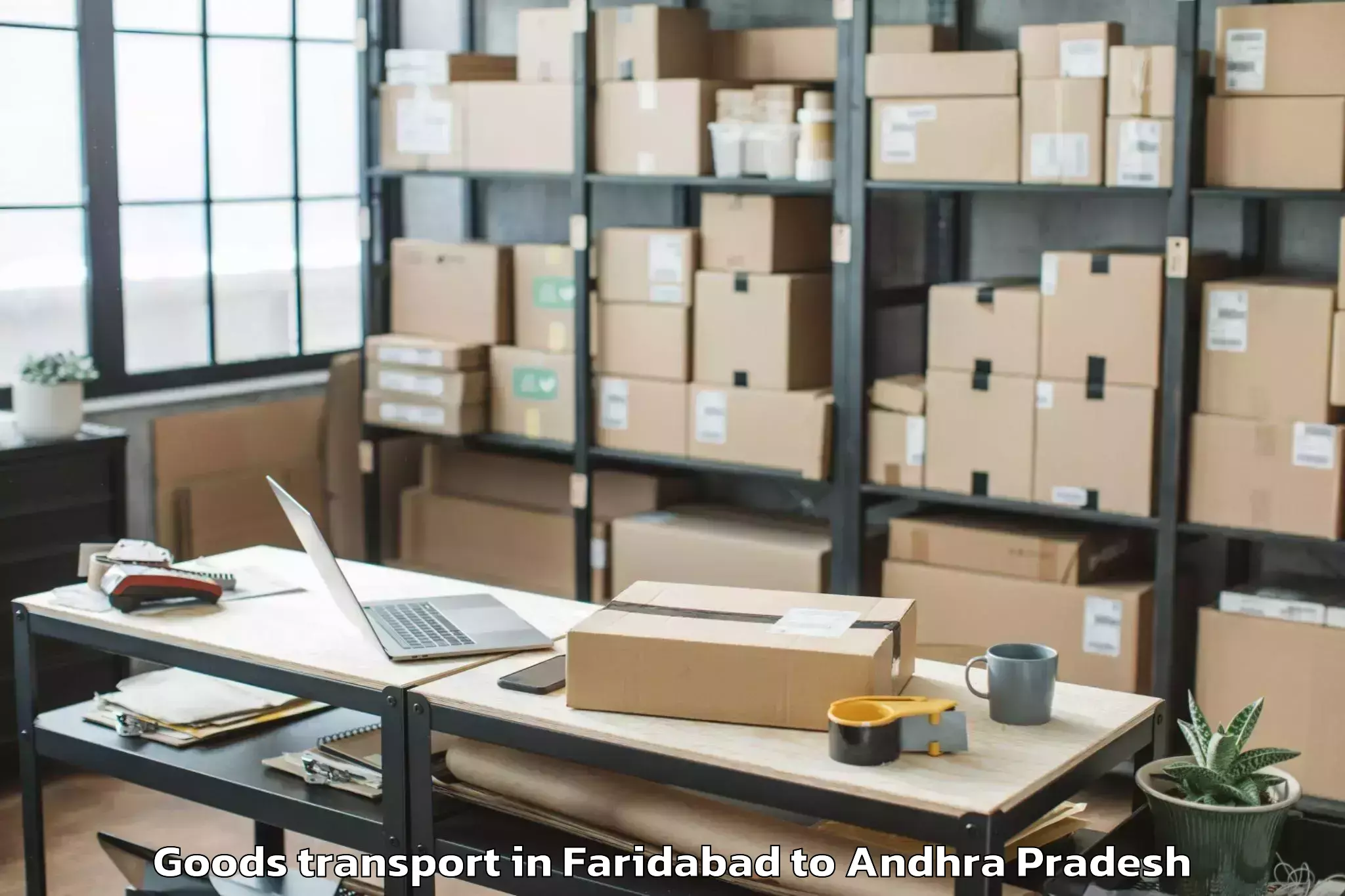 Expert Faridabad to Pedaparupudi Goods Transport